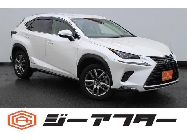 TOYOTA LEXUS NX300h 2020