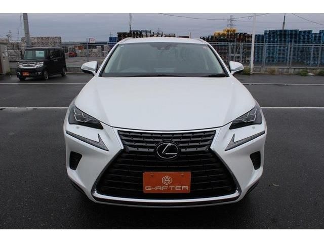 TOYOTA LEXUS NX300h 2020