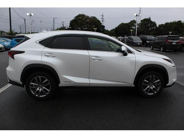 TOYOTA LEXUS NX300h 2020