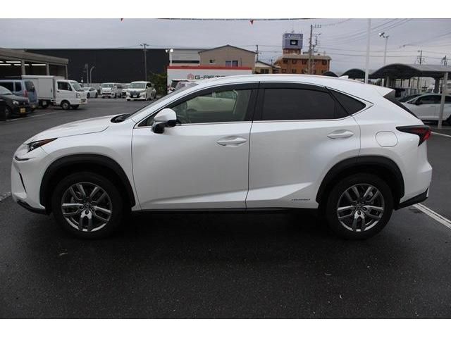 TOYOTA LEXUS NX300h 2020