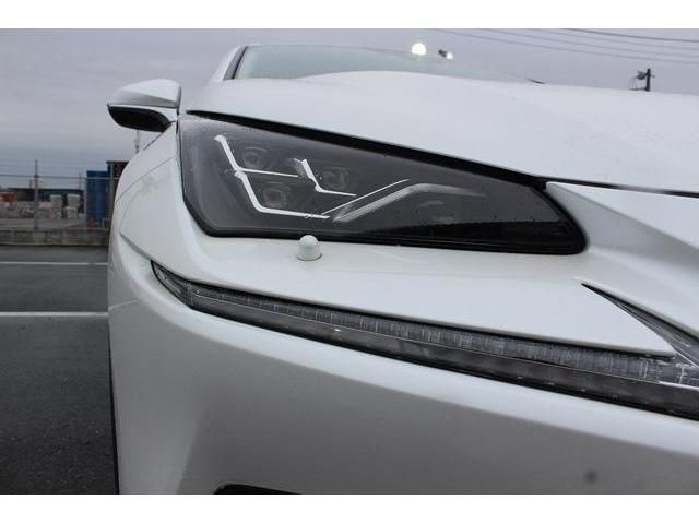 TOYOTA LEXUS NX300h 2020