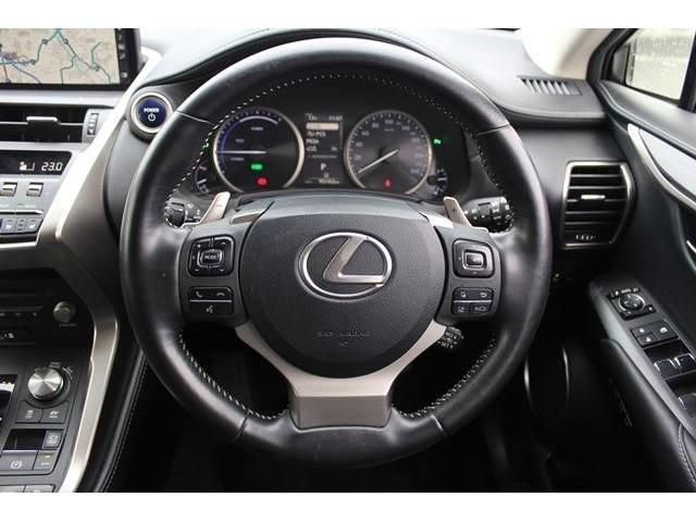 TOYOTA LEXUS NX300h 2020