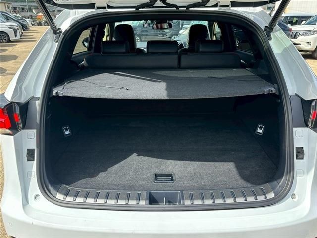 TOYOTA LEXUS NX300h 2019