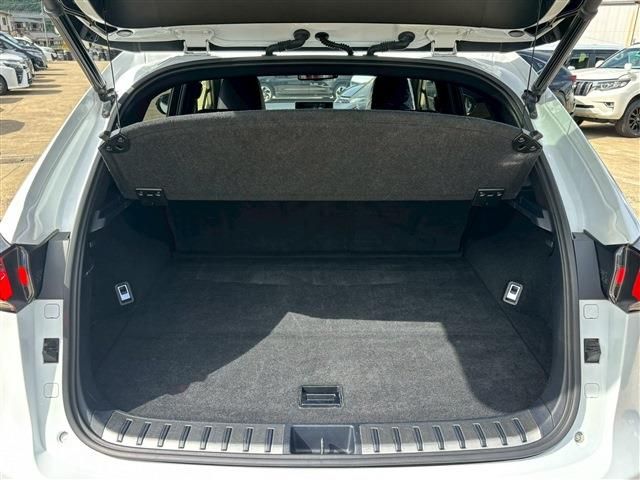 TOYOTA LEXUS NX300h 2019