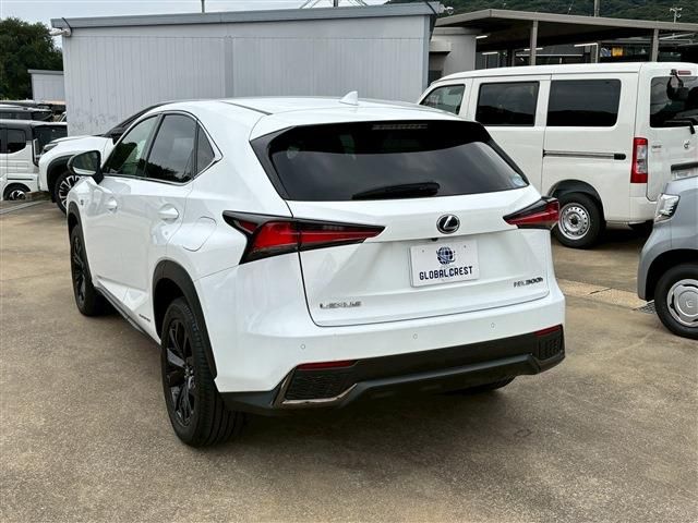 TOYOTA LEXUS NX300h 2019