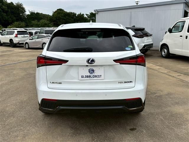 TOYOTA LEXUS NX300h 2019