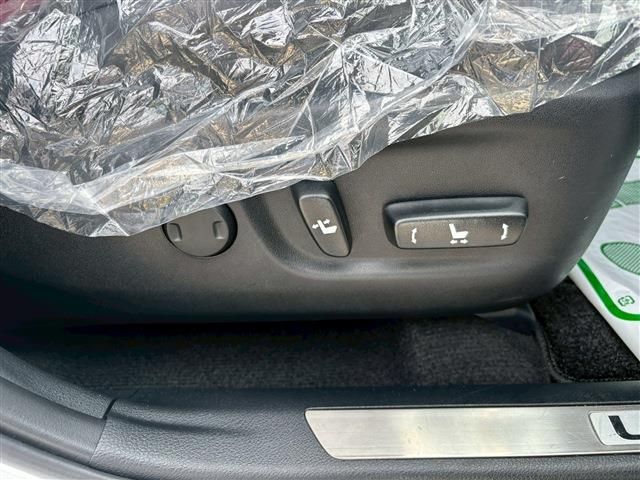 TOYOTA LEXUS NX300h 2019