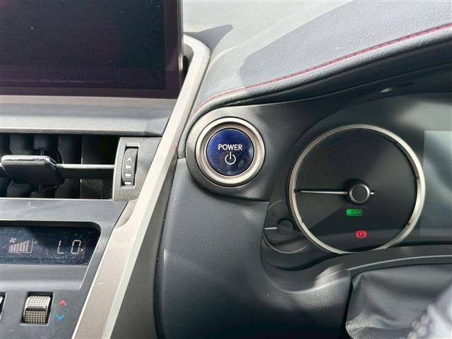 TOYOTA LEXUS NX300h 2019