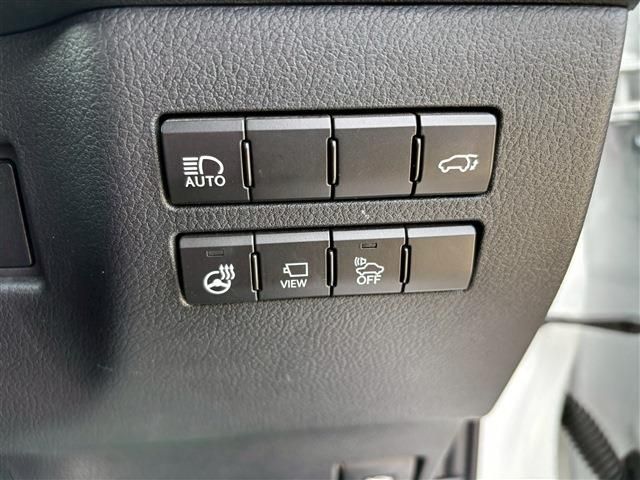 TOYOTA LEXUS NX300h 2019