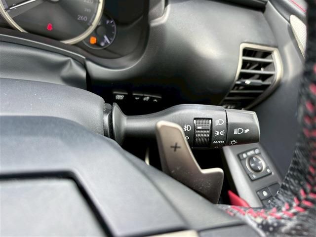 TOYOTA LEXUS NX300h 2019