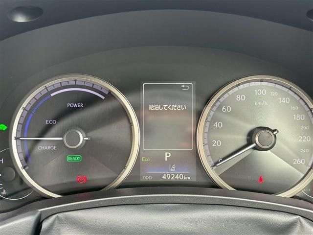 TOYOTA LEXUS NX300h 2019