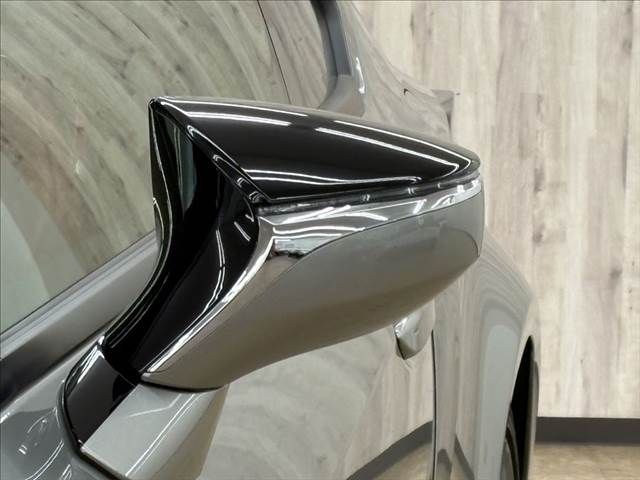 TOYOTA LEXUS RC300 2019