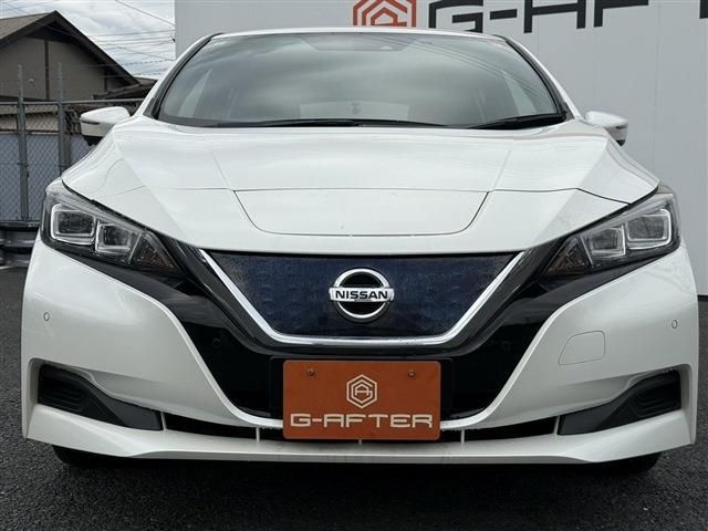 NISSAN LEAF 2019