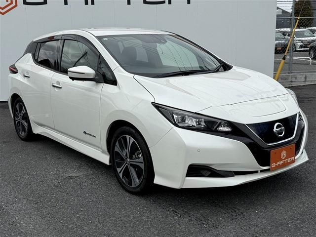 NISSAN LEAF 2019
