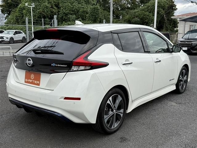 NISSAN LEAF 2019