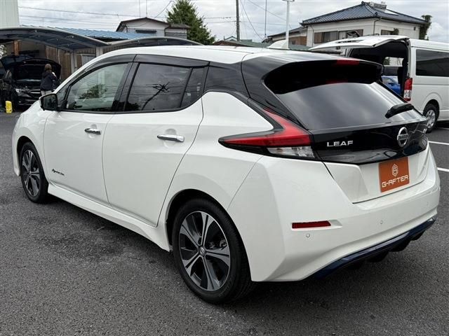 NISSAN LEAF 2019