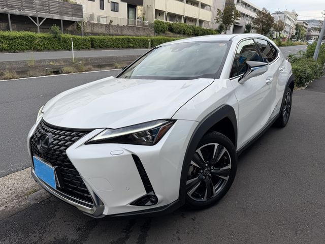 TOYOTA LEXUS UX250h 2022