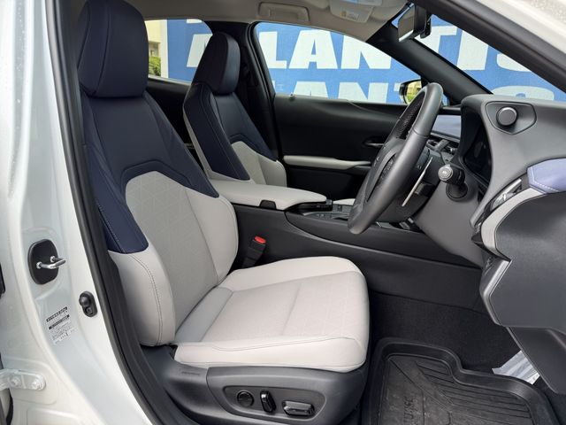 TOYOTA LEXUS UX250h 2022