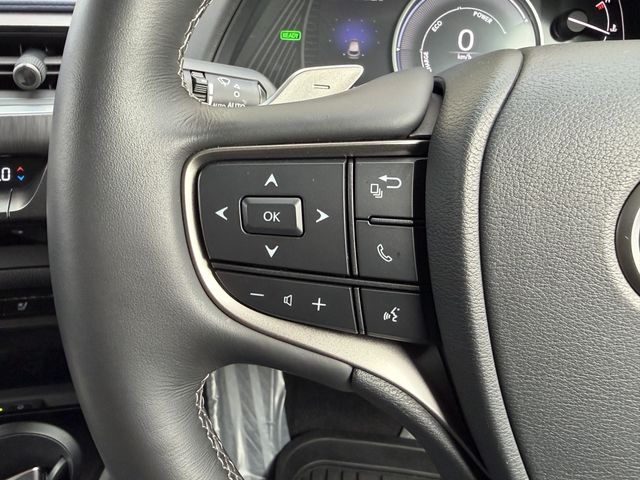 TOYOTA LEXUS UX250h 2022