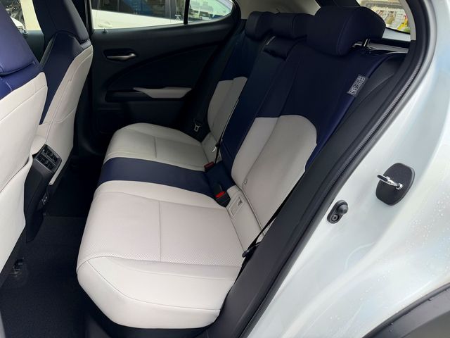 TOYOTA LEXUS UX250h 2022