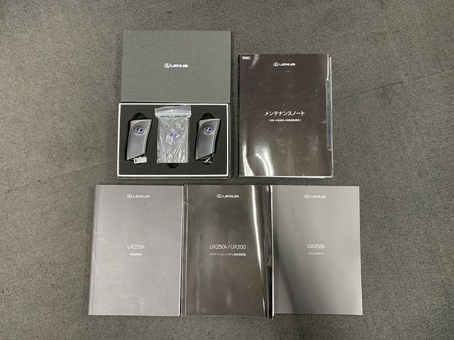 TOYOTA LEXUS UX250h 2022