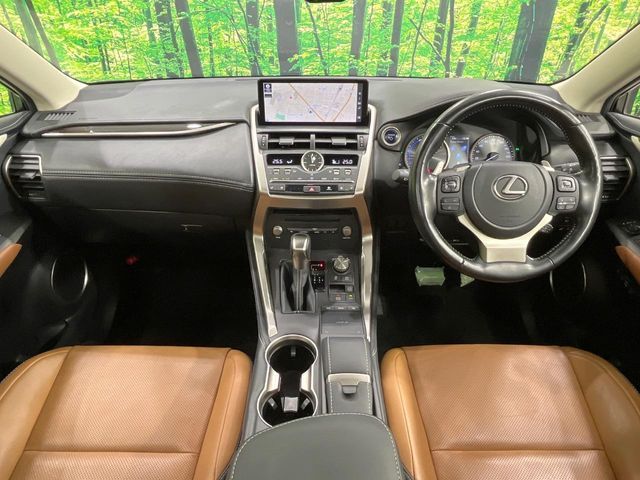 TOYOTA LEXUS NX300h 2020