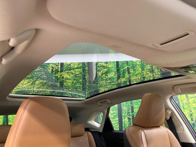 TOYOTA LEXUS NX300h 2020