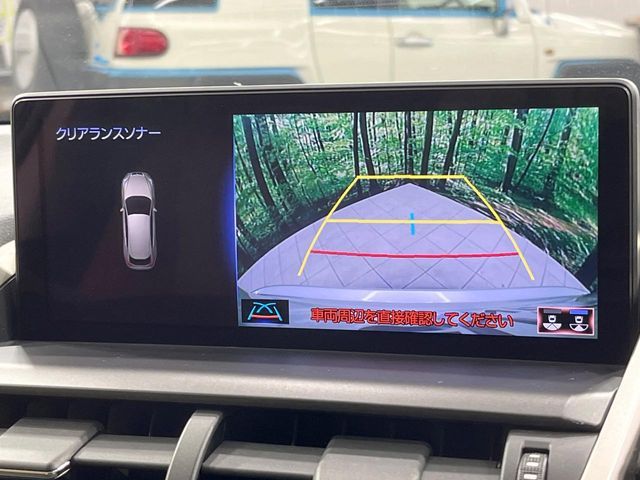 TOYOTA LEXUS NX300h 2020