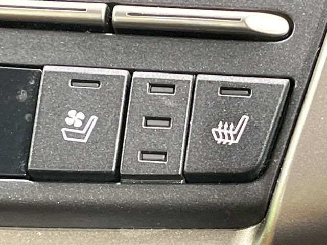 TOYOTA LEXUS NX300h 2020