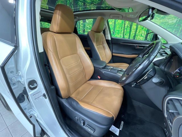 TOYOTA LEXUS NX300h 2020