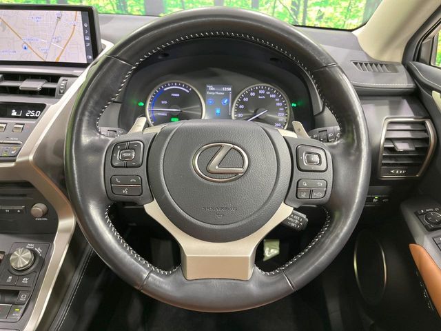 TOYOTA LEXUS NX300h 2020