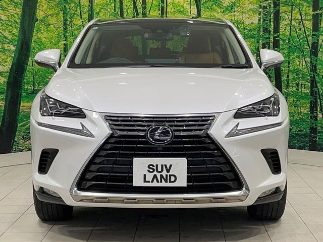 TOYOTA LEXUS NX300h 2020