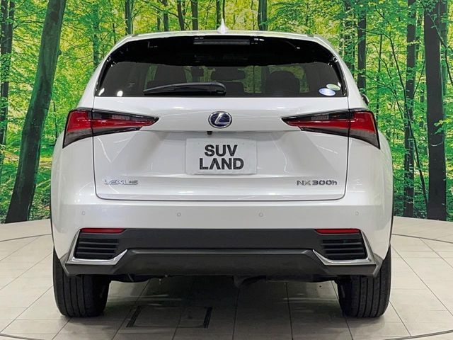 TOYOTA LEXUS NX300h 2020