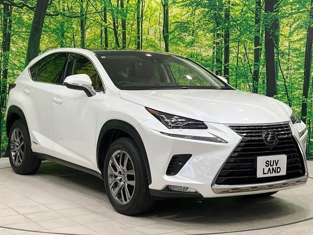 TOYOTA LEXUS NX300h 2020