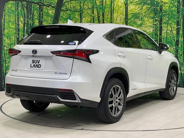 TOYOTA LEXUS NX300h 2020