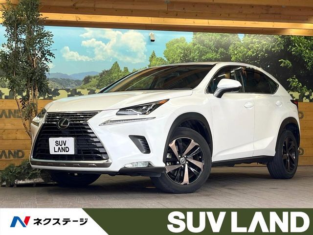 TOYOTA LEXUS NX300 2019