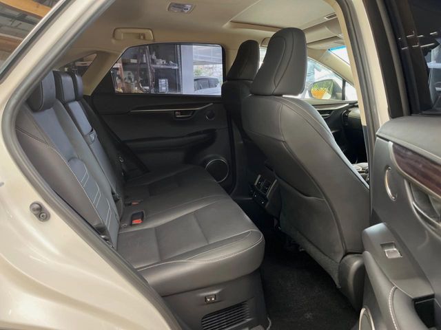 TOYOTA LEXUS NX300 2019