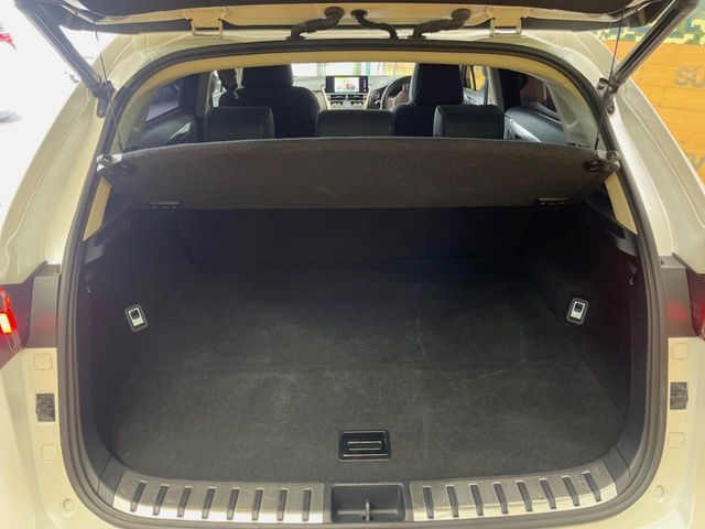 TOYOTA LEXUS NX300 2019