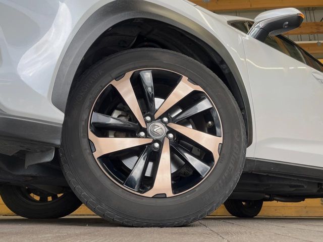 TOYOTA LEXUS NX300 2019