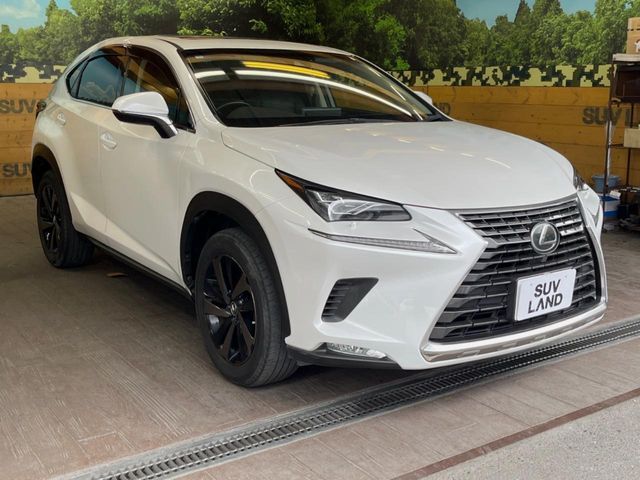 TOYOTA LEXUS NX300 2019