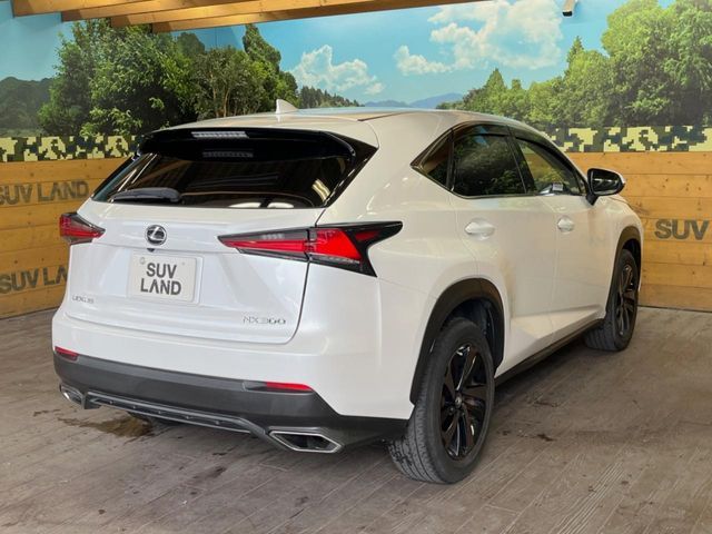 TOYOTA LEXUS NX300 2019