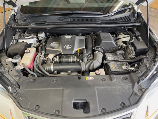 TOYOTA LEXUS NX300 2019