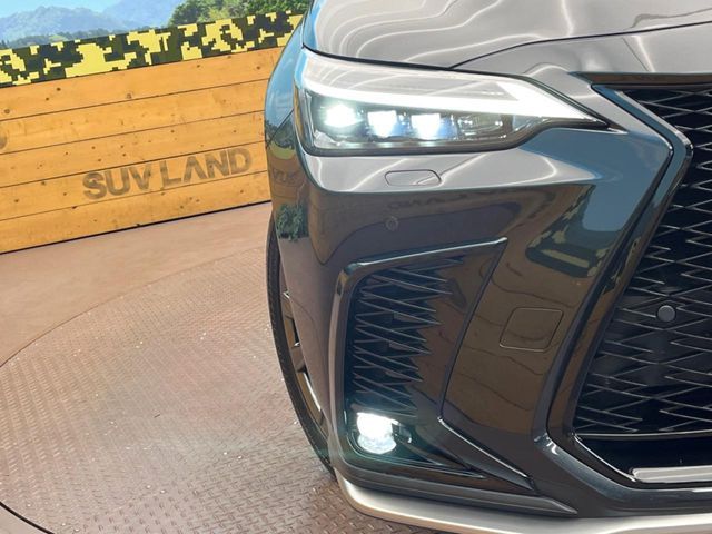 TOYOTA LEXUS NX350h 2023