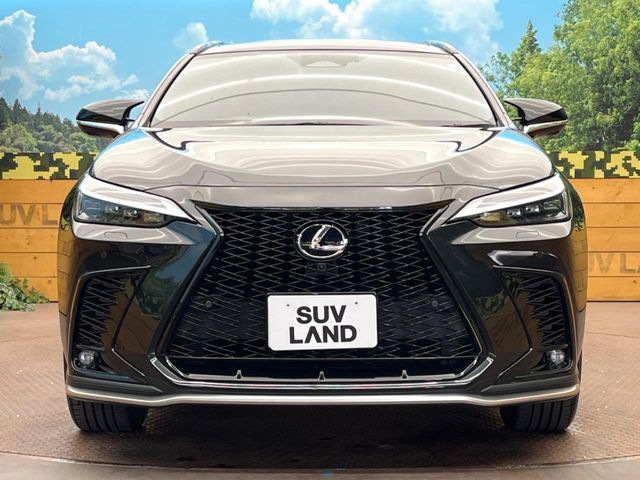 TOYOTA LEXUS NX350h 2023