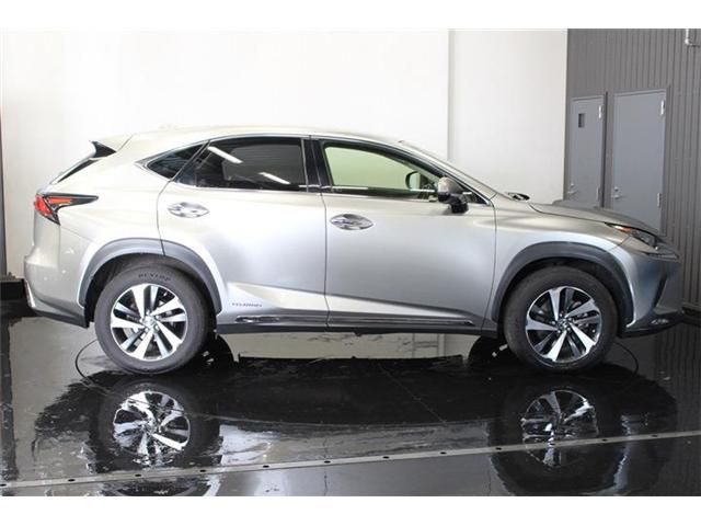 TOYOTA LEXUS NX300h AWD 2018