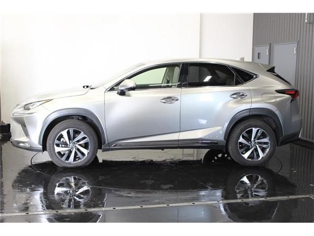TOYOTA LEXUS NX300h AWD 2018