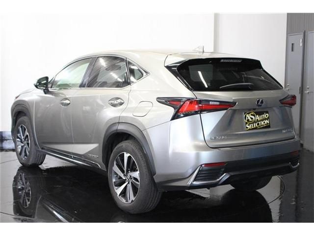 TOYOTA LEXUS NX300h AWD 2018