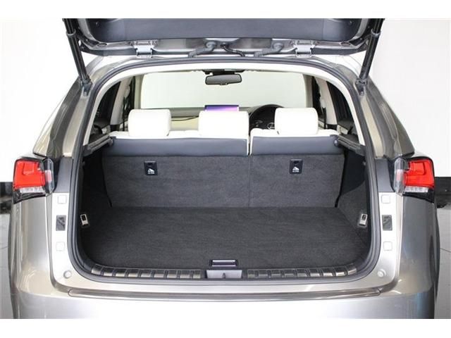 TOYOTA LEXUS NX300h AWD 2018