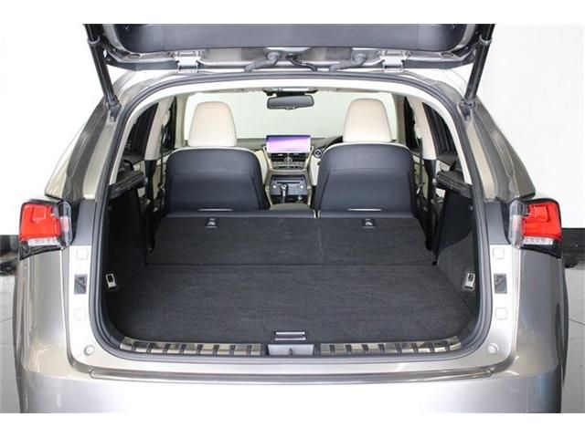 TOYOTA LEXUS NX300h AWD 2018