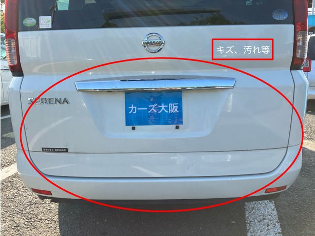 NISSAN SERENA  WG 2010